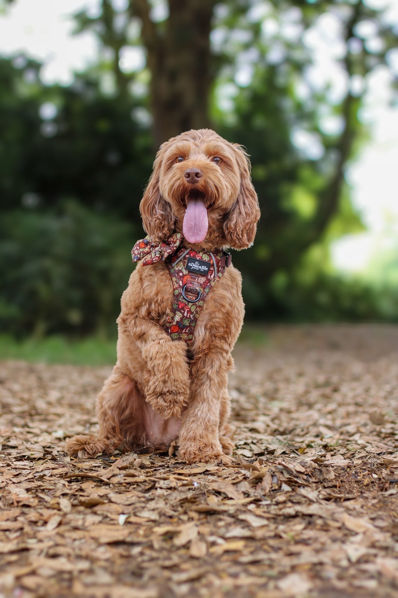 Hike & Go™ Harness - Foragers Forest