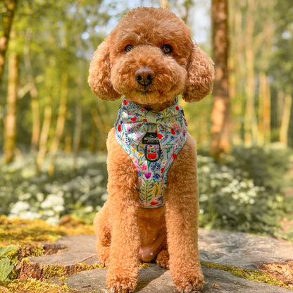 Adjustable Harness - Wildflower Meadow