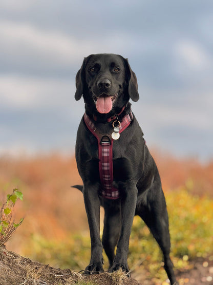 Streamline Pro™ Dog Harness - Heritage Collection - Merlot Manor
