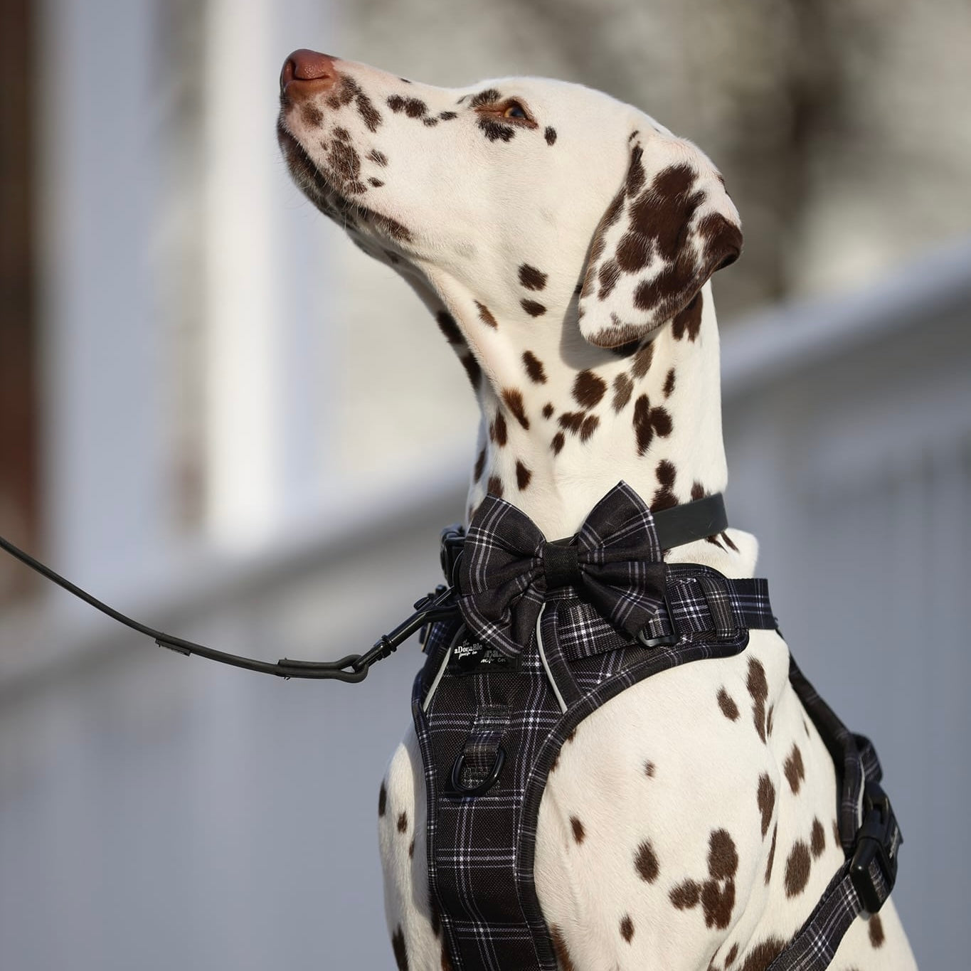 Sailor Bow Tie - LUXE Noir Plaid