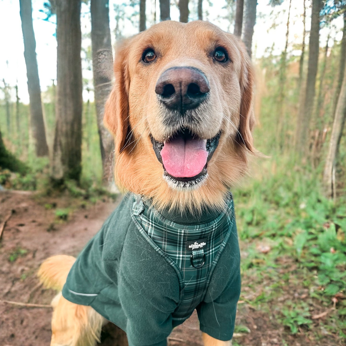 Adjustable Harness - LUXE Hunter Green Plaid