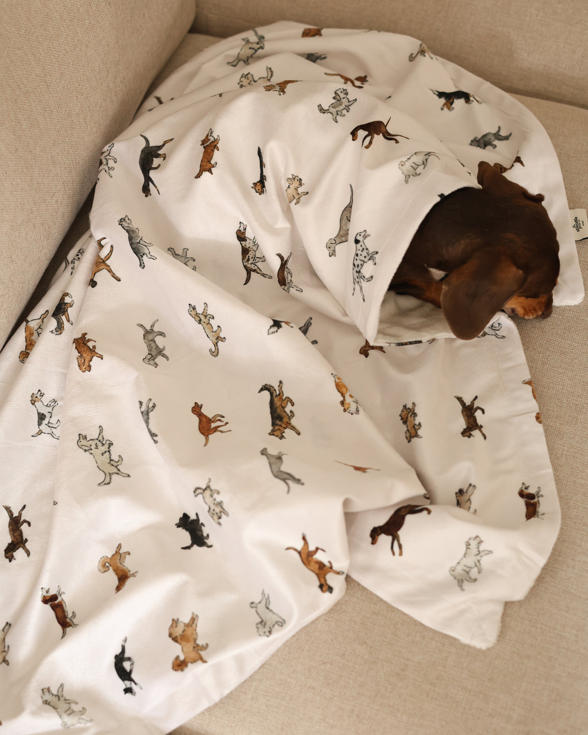 Ultra-Soft Lightweight Dog Breed Blanket