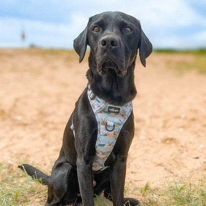 Hike & Go Lite™ Harness - Coastal Beach Grass