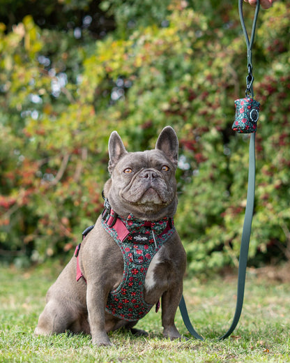 Dog Poop Bag Holder - Holly & Ivy