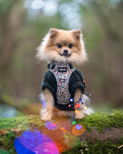 Hike & Go Lite™ Harness - Festive Lights