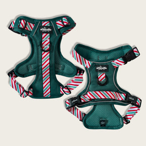 Hike & Go™ Harness - Candy Cane Forest