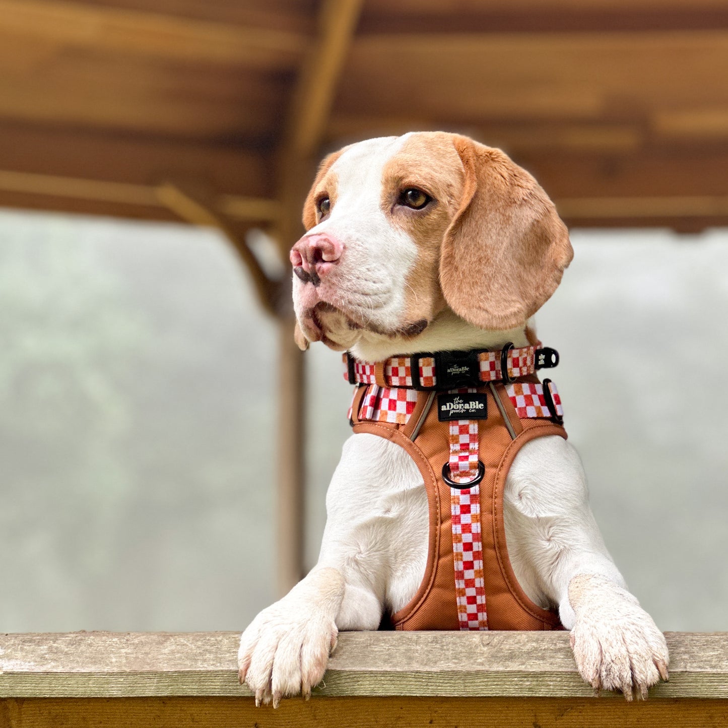 Hike & Go™ Harness - Gingerbread Waffle