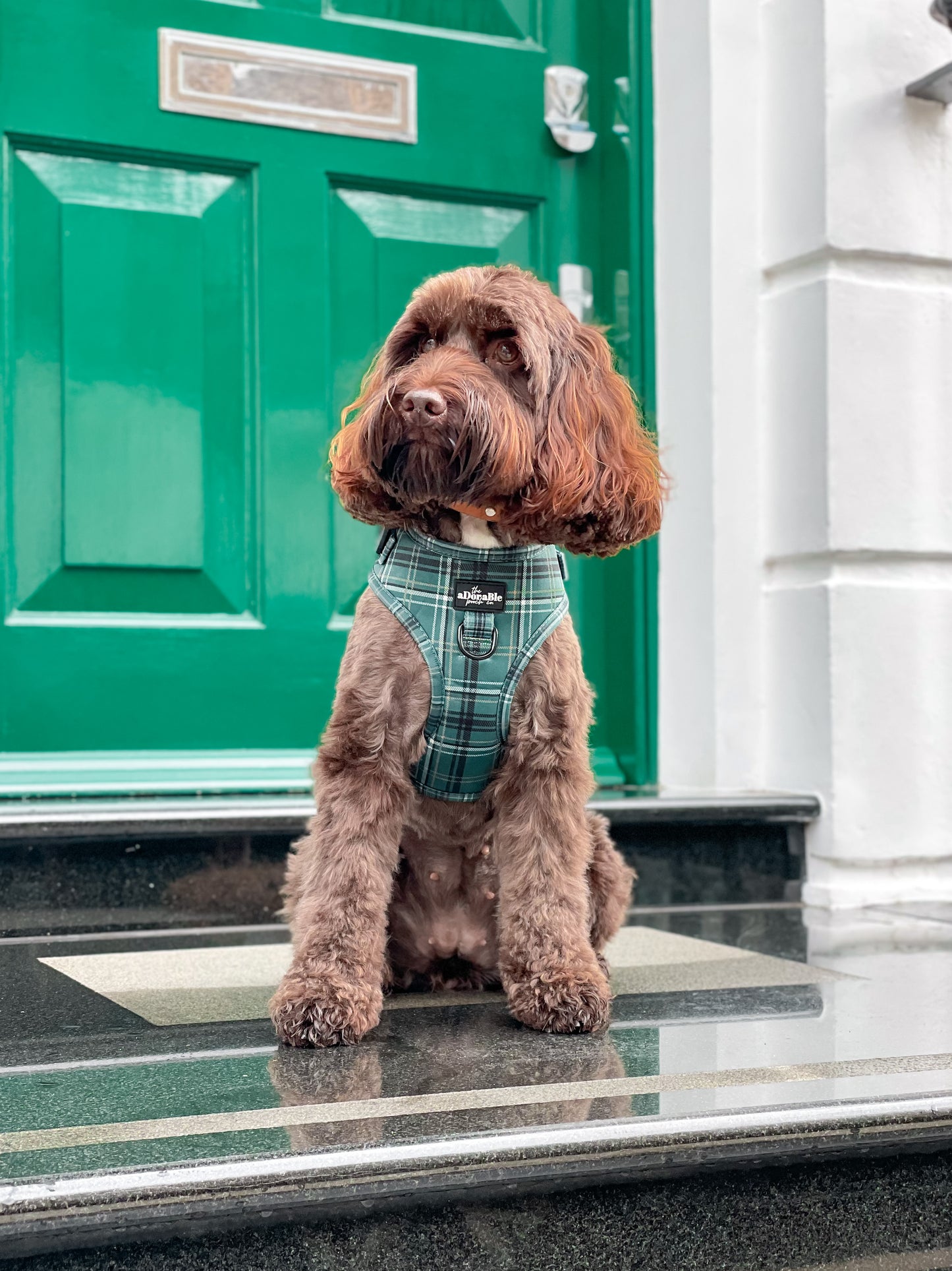 Adjustable Harness - LUXE Hunter Green Plaid