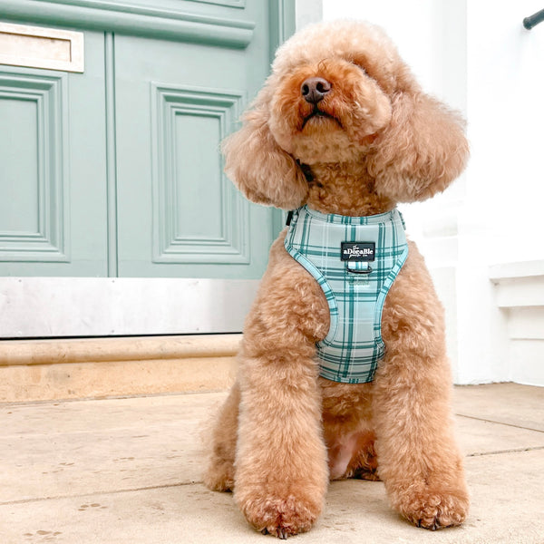 Adjustable Harness - LUXE Frosted Mint Plaid