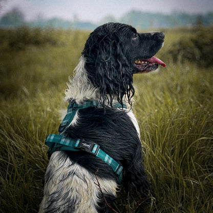 Streamline Pro™ Dog Harness - Heritage Collection - Pheasant Green