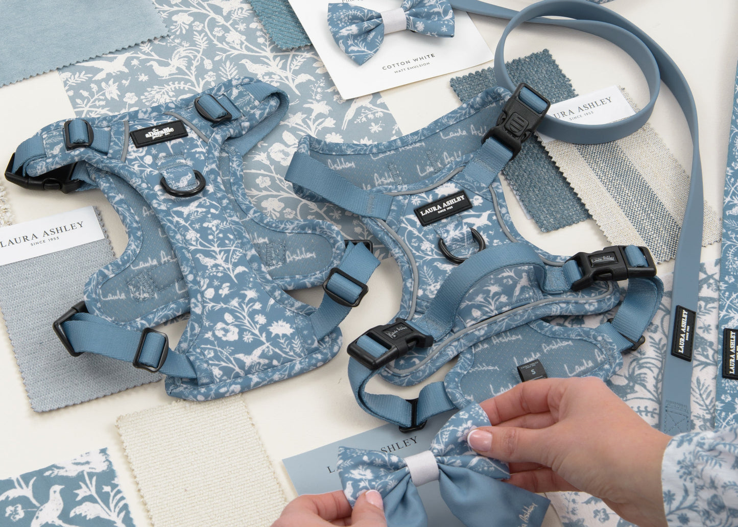 Dog harnesses and leads in blue Shepherd's Purse collection displayed as a flat lay