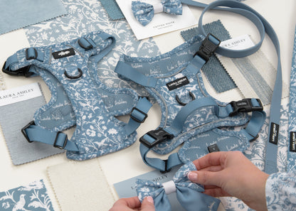 Dog harnesses and leads in blue Shepherd's Purse collection displayed as a flat lay