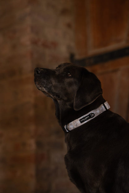 Laura Ashley Dog Collar - Magnolia Grove