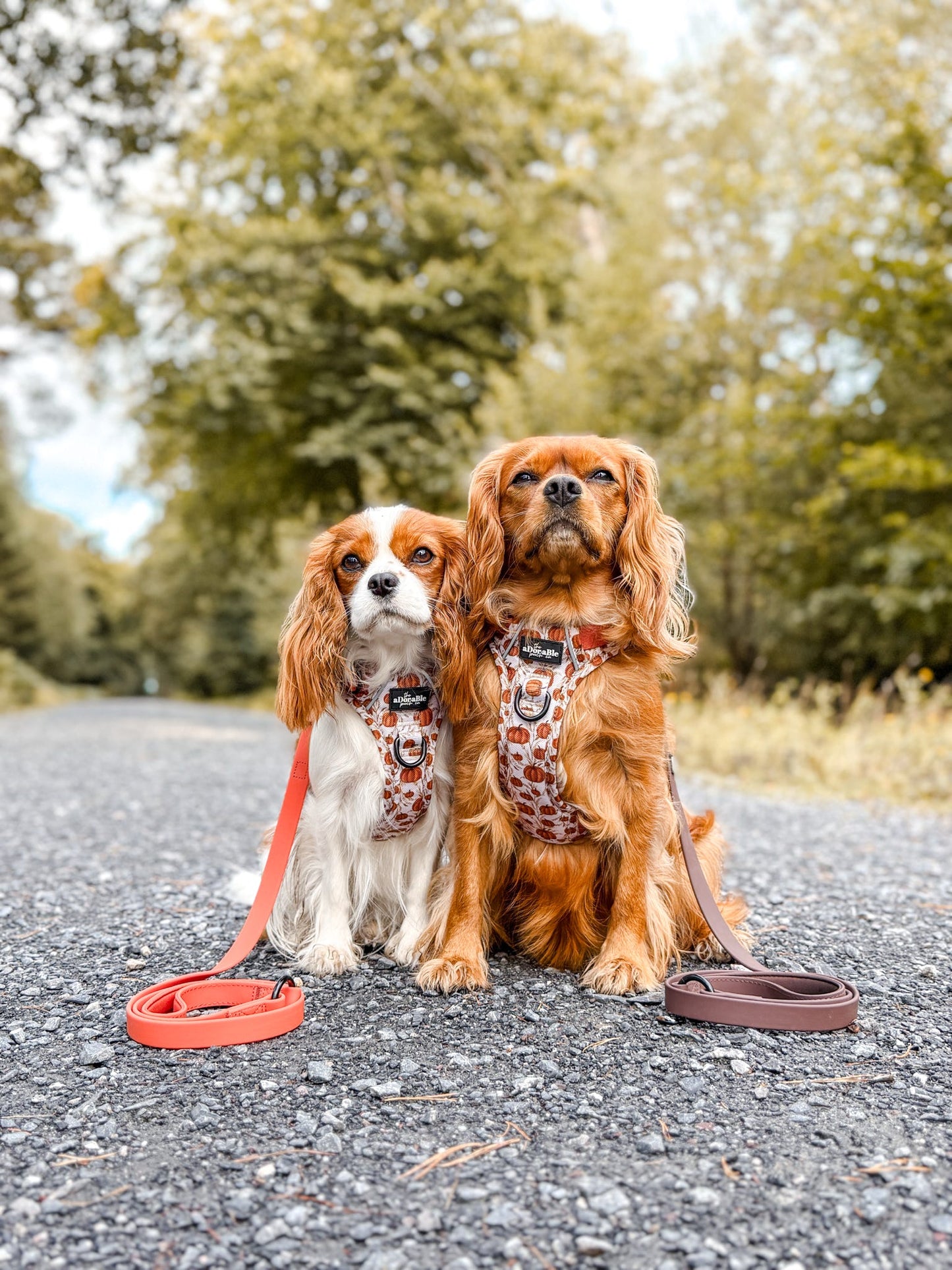 Hike & Go™ Harness - Pumpkin Farm