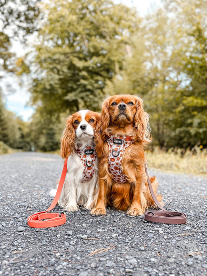 Hike & Go™ Harness - Pumpkin Farm