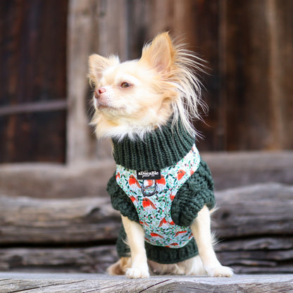 Hand Knitted Dachshund Jumper - Spruce Green