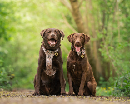 Hike & Go Lite™ Harness - Cotswold Cottage