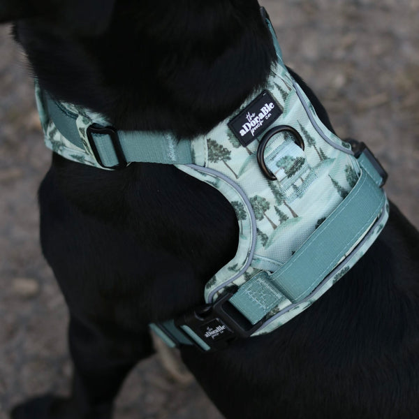 Hike & Go™ Harness - Countryside Hills