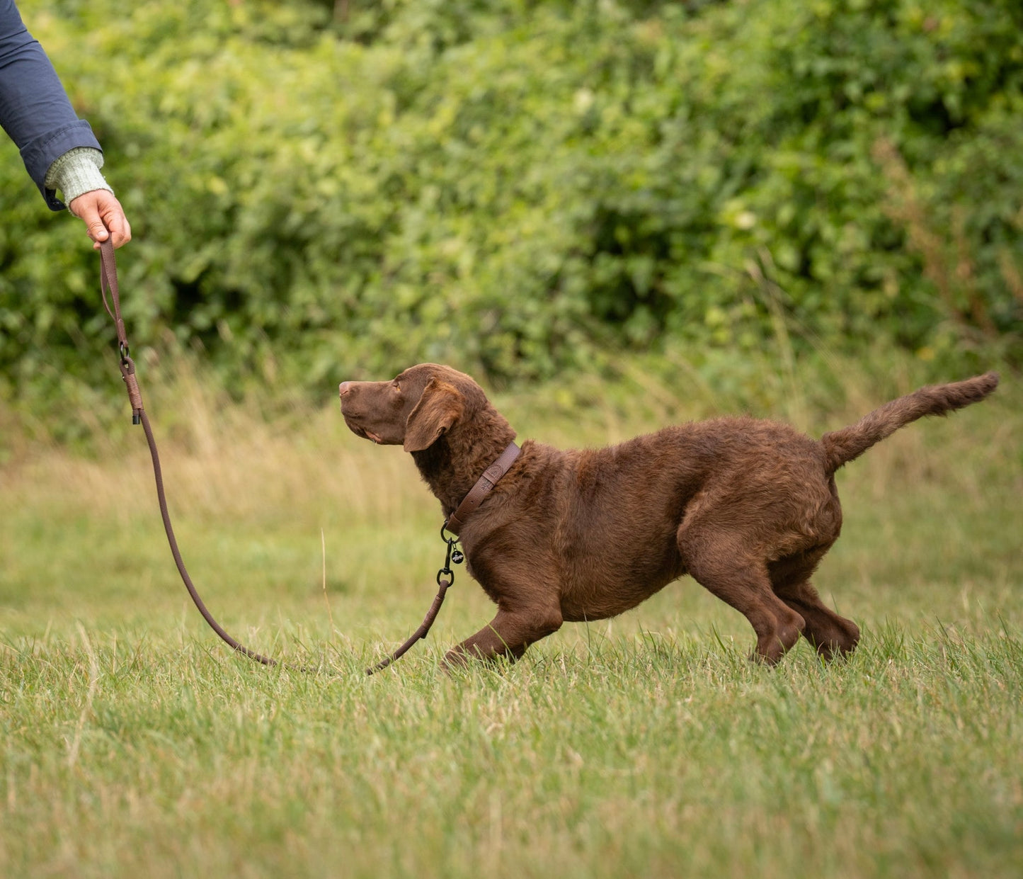 Heritage Faux Leather Rope Dog Lead - Brown
