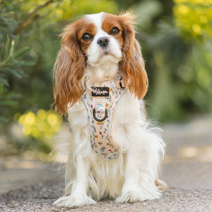 Hike & Go Lite™ Harness - Spring Garden