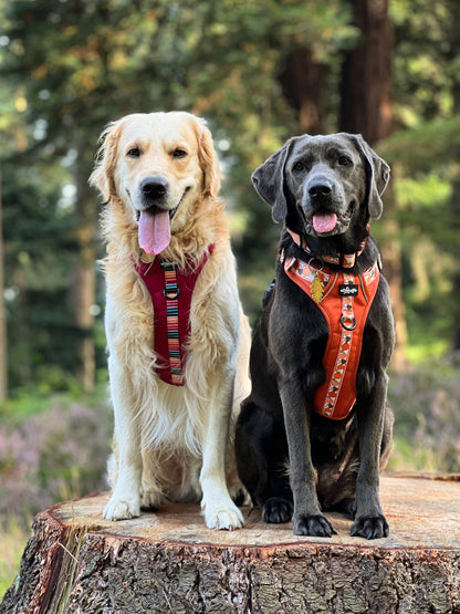 Hike & Go™ Harness - Pumpkin Fields