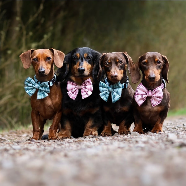 Sailor Bow Tie - LUXE Rose Quartz Plaid