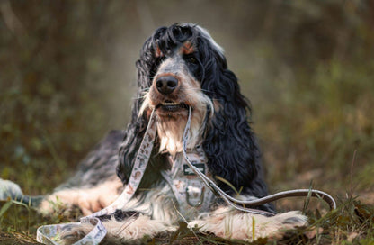 Fabric Dog Lead - Cotswold Cottage