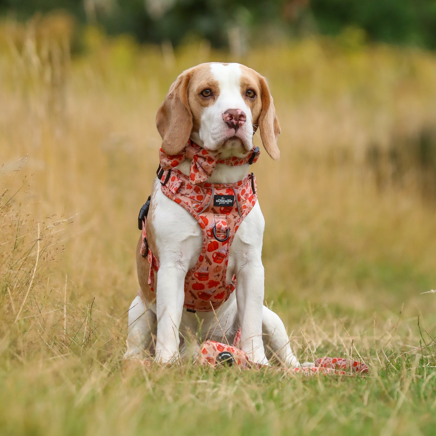 Sailor Bow Tie - Pumpkin Harvest