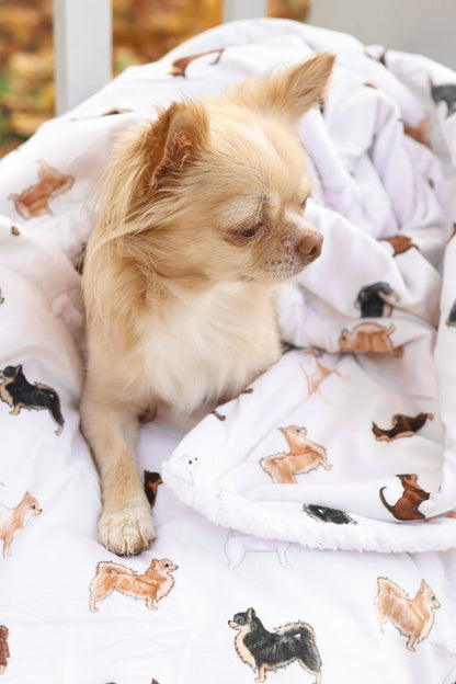 Supersize Soft Blanket - Watercolour Chihuahuas