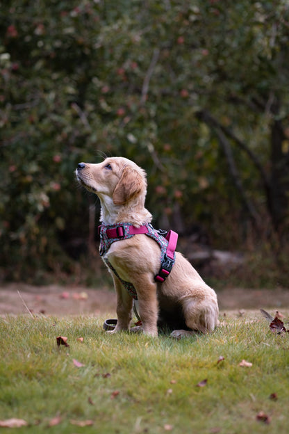 Hike & Go™ Harness - Crab Apple Cottage