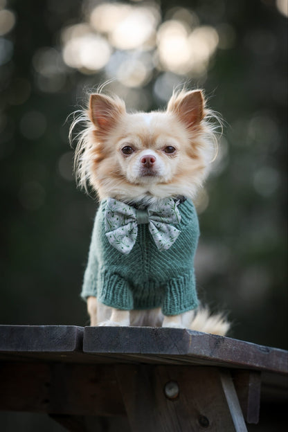 Dog Sailor Bow Tie - Silent Snowdrops