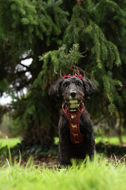 Hike & Go Lite™ Harness - Winter Fawn