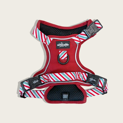 Hike & Go™ Harness - Candy Cane Swirl