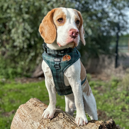 Adjustable Harness - LUXE Hunter Green Plaid