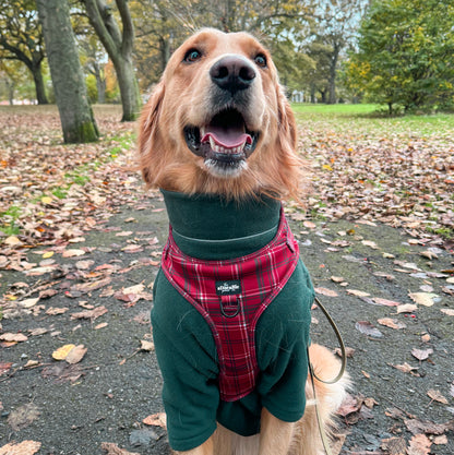 Adjustable Harness - LUXE Berry Red Plaid