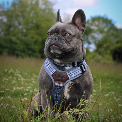 Streamline Pro™ Dog Harness - Heritage Collection - Gunsmoke Grey