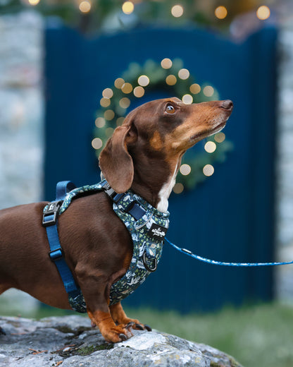 Hike & Go Lite™ Harness - Twelve Days