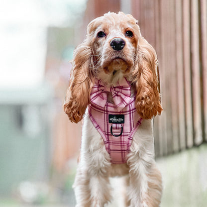 Sailor Bow Tie - LUXE Rose Quartz Plaid