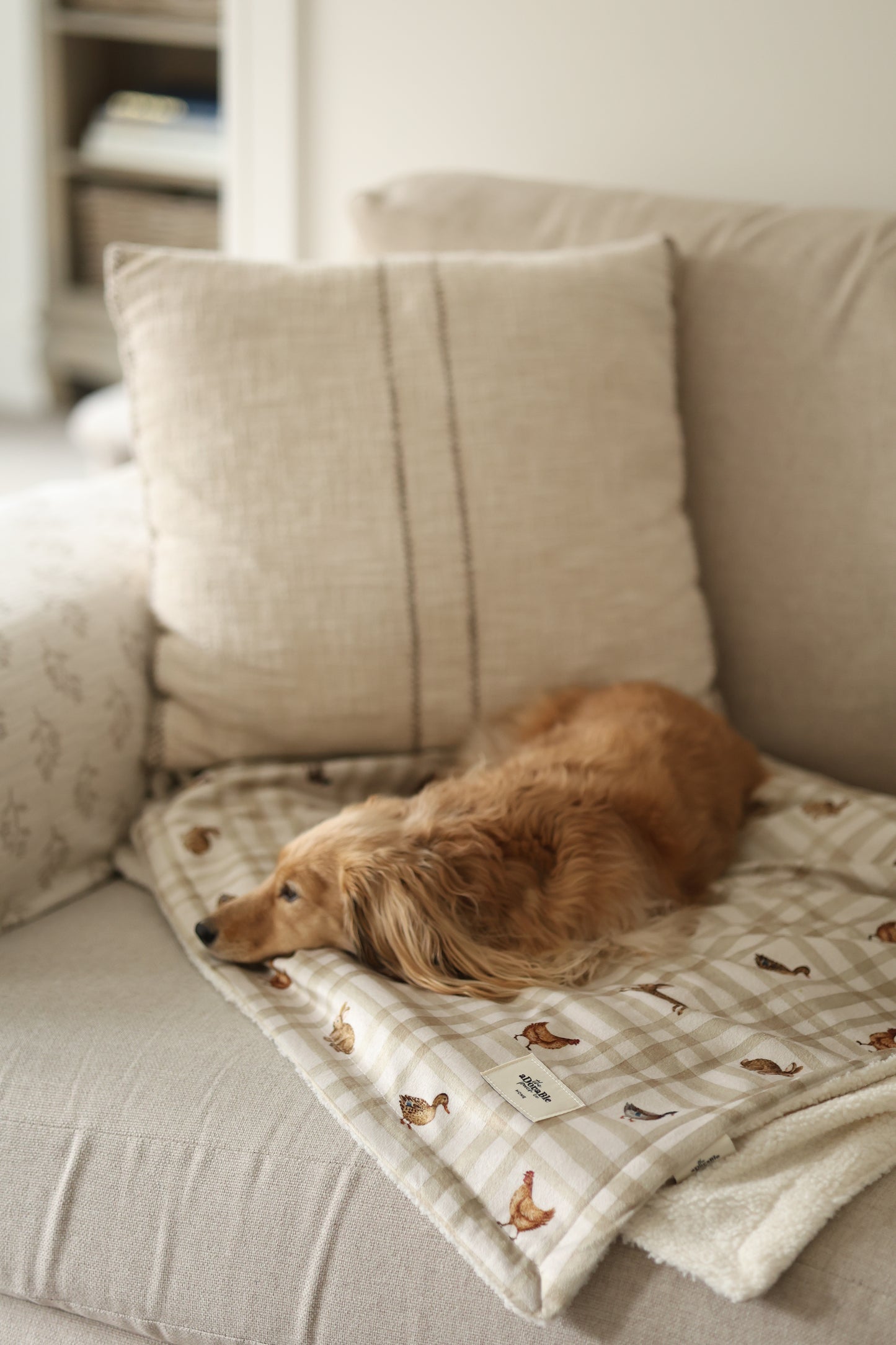 Dog & Puppy Bed Blanket - Cotswold Cottage