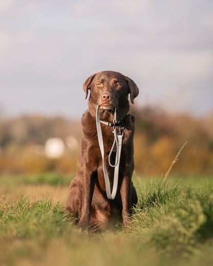 HydroFlex™ Waterproof Dog Lead - Sky Blue