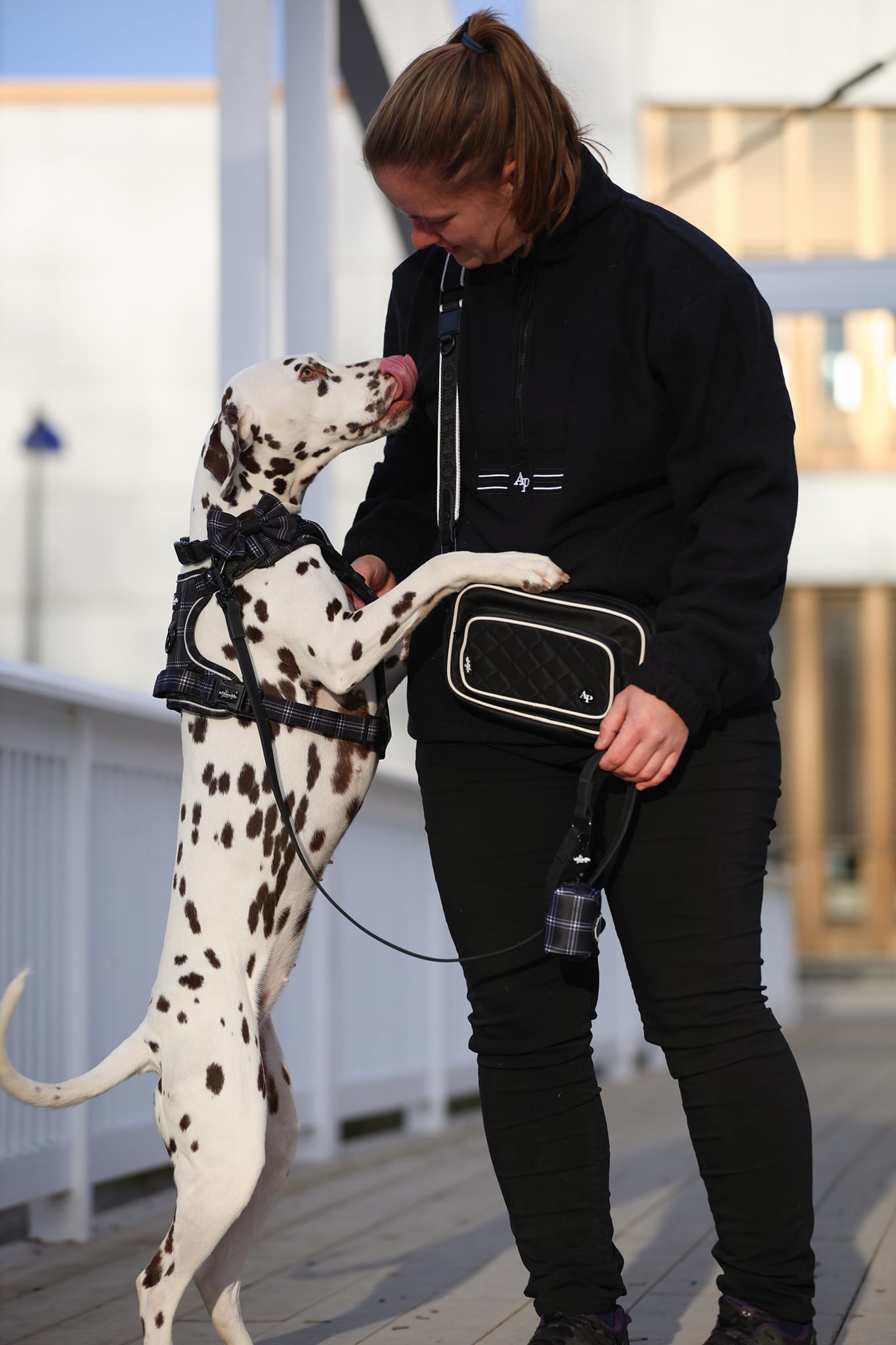 Embroidered Oversized Outdoor Zip Neck Fleece - Black