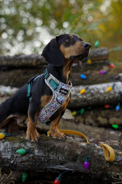 Hike & Go Lite™ Harness - Festive Lights