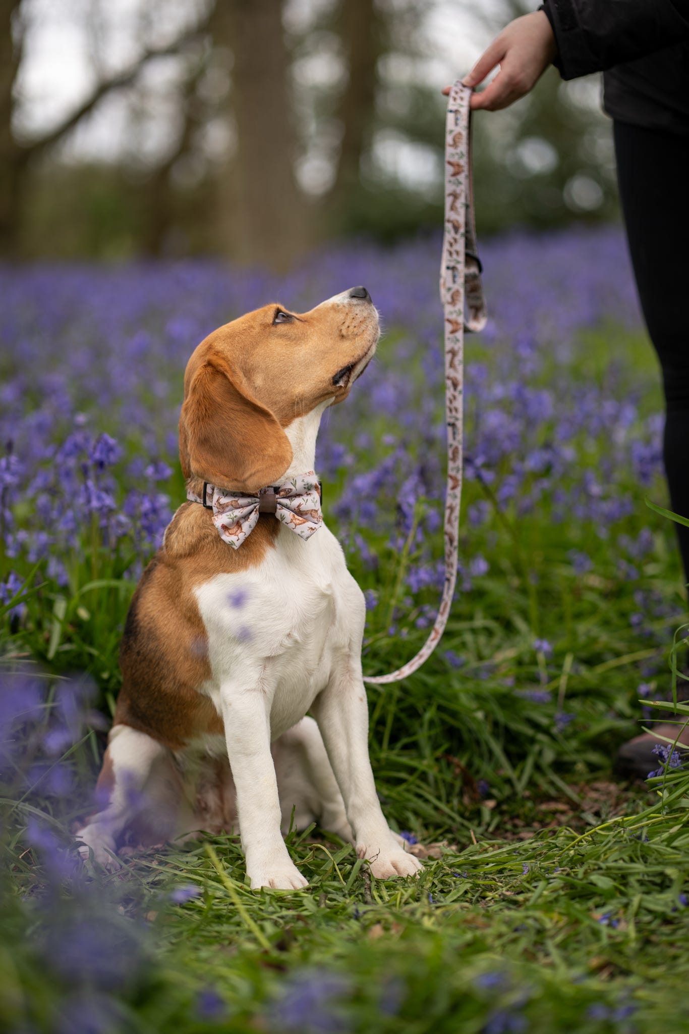 Fabric Dog Lead - Cotswold Cottage
