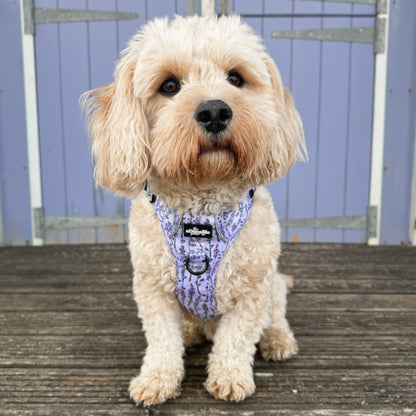 Hike & Go Lite™ Harness - Lavender Haze