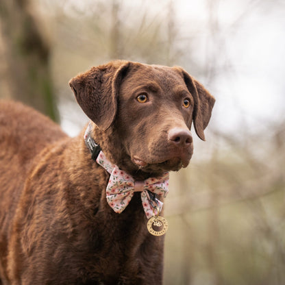 Dog Sailor Bow Tie - Blushing Blossoms