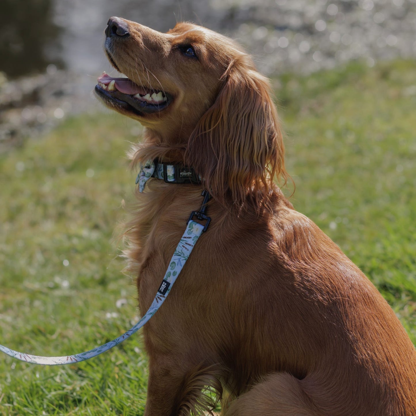 Fabric Dog Lead - Willow Waters