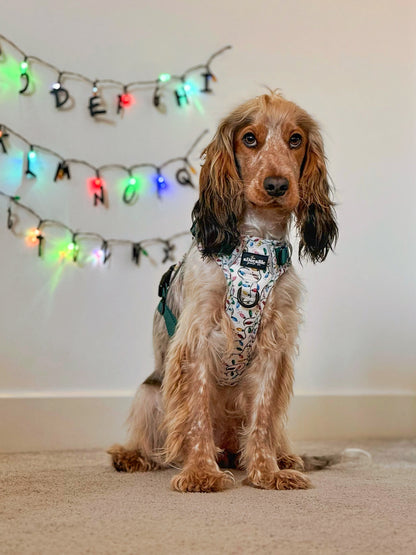 Hike & Go Lite™ Harness - Festive Lights