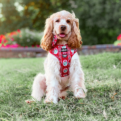 Adjustable Harness - Christmas Traditions