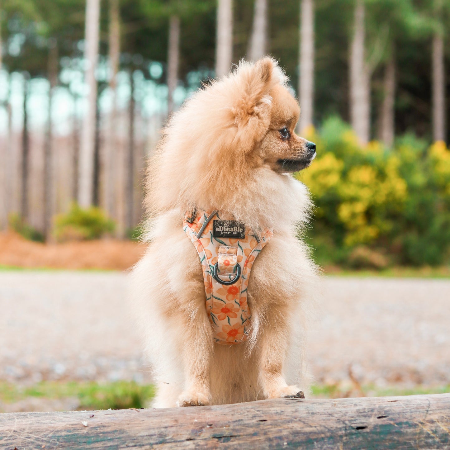 Hike & Go Lite™ Harness - Delicate Daffodils