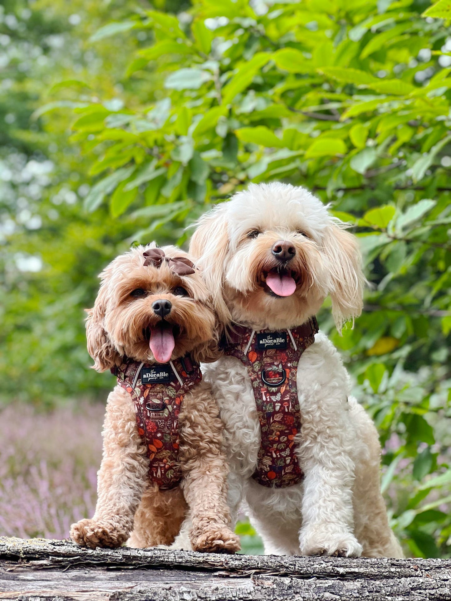 Hike & Go™ Harness - Foragers Forest